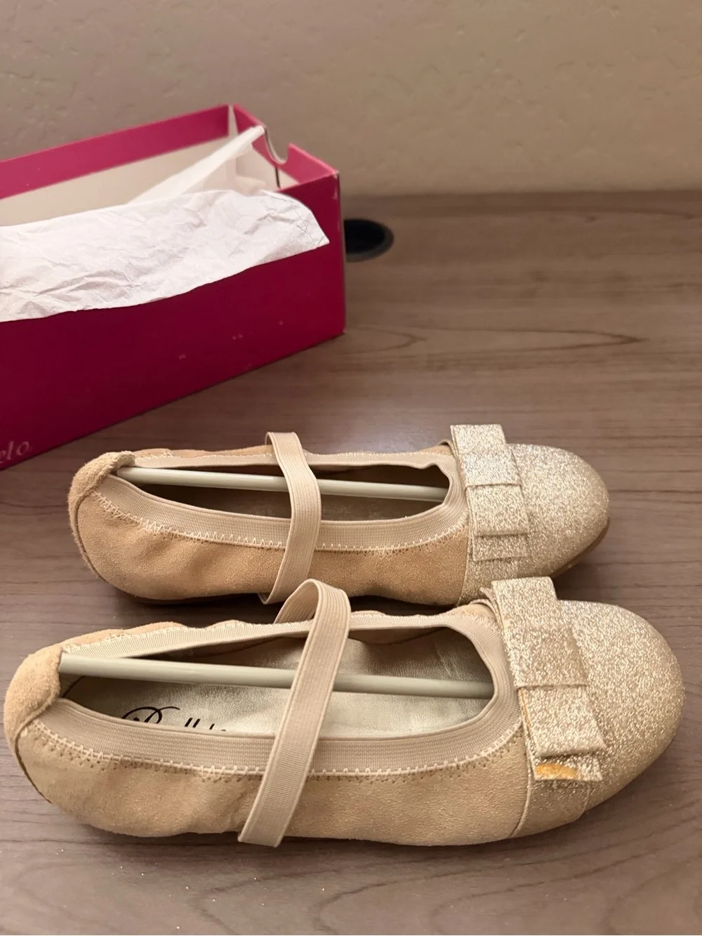 Balleto Glitter Ballet Shoes